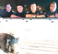 South Betl-Ellington Leader, Christmas edition 2018