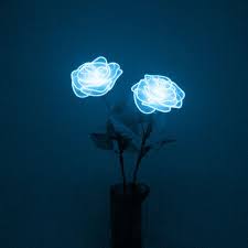Light In The Dark Neon Aesthetic Neon Flowers Blue Aesthetic