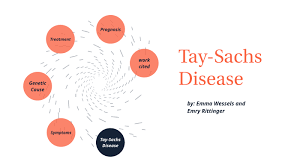 tay sachs disease by emry rittinger on prezi next