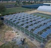 Solar Panel Mounting Solutions for Farmland Agrivoltaic Systems
