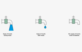 Type 1 diabetes vector clipart and illustrations (98). Type 1 Diabetes Clipart Free Transparent Clipart Clipartkey