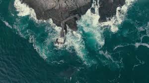 Information about Manu Explorers