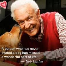 ❤️🐕❤️ @tout le monde