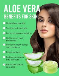 Many food ingredients cause fatigue. Benefits And Use Of Aloe Vera Gel For Face And Skin Be Beautiful India