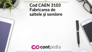 Savesave coduri caen 2008 rev 2 for later. Complex MentÄ MasinÄ De Scris Caen Fabricarea De Saltele Si Somiere Footballswagger Com