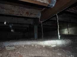 Prior to 1999 larry, an award winning builder, spent 18 years in the. Building And Pest Inspection Services Pty Ltd 4 Jacaranda Ct Woodgate Qld 4660 Australia
