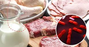 Symptoms of listeriosis are variable; Listeria Symptoms Prevention Natural Recovery Dr Axe