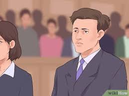 Prosecutor andrew bruce told the court that the activists support the demos by unlawful obstruction. How To Plead Not Guilty 15 Steps With Pictures Wikihow