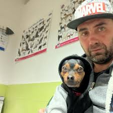 Torquay Lego Show Good morning