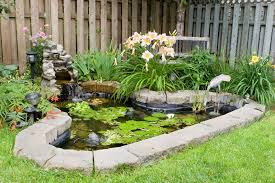 Create A Backyard Water Garden This Weekend Realtor Com