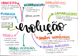 Evidências da Evolução Biológica - Evolução: - Mapas Mentais de Biologia  Para o Enem e Vestibulares | Projeto Elisa - Mind Maps