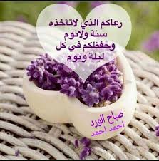 السلام علیکم صبح بخیر زندگی اے میرے الل ه ہم سب کی حفاظت فرما اے میرے الل ه ہم سب کی پ good morning beautiful flowers good morning wishes good morning arabic