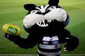 The afl store is your one stop shop for all of your official afl licensed merchandise needs, with stores across major shopping centres in victoria, south australia and western australia and now online. Universal Love Half Cat Bigfooty