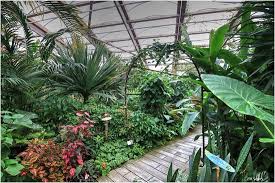 Ils volent en totale liberté autour de vous. La Serre Tropicale Picture Of Jardin Aux Papillons Vannes Tripadvisor
