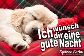 Morgen wird so viel spaß machen, also schlafen sie besser. Gute Nacht Schone Gute Nacht Spruche Zum Verschicken