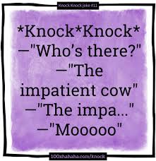 In this episode, spongebob watches mr. Knock Knock Joke Knock Knock Who S There The Impatient Cow