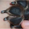 Browse dog nail clipper sensor at alibaba.com. 1