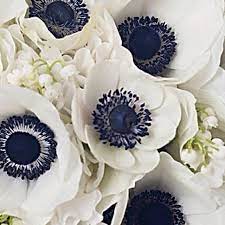 Nautical Wedding Ideas Part 1 Wedding Flowers Anemone Beautiful Flowers