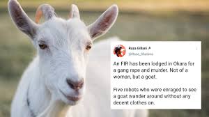 intro and i'm willing to borrow your grass but i specialize in eating mc's in the immortal words of ll cool j as he would say: Should Animals Wear Modest Clothes Too Social Media Asks After Goat Gang Raped In Okara Comment Images