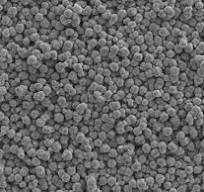 Copper Powder,Silver coated Copper Powder,Silver Powder ...