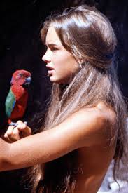 Garry gross brooke shields photos.pdf free pdf download now!!! Not Found Brooke Shields Beauty Brooke Shields Young