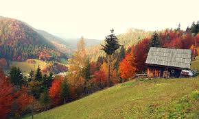 Acasă călătorii obiective turistice din românia comuna moieciu: Atractii Turistice Moieciu De Sus Lovelylife