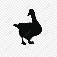 542 likes · 1 talking about this. Gratis Hewan Bebek Musim Panas Berenang Sederhana Png Ai Unduhan Gambar Ukuran 2000 2000px Id 828826674 Lovepik