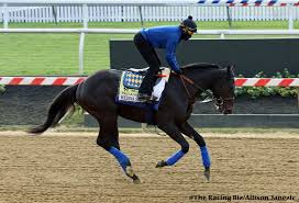 The preakness draw is set for 4 p.m. N Isqtr80 Nim