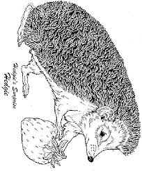 See more ideas about coloring pages, jan brett, abc coloring pages. The Hat By Jan Brett Coloring Pages