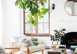 Connecting the existing living to the new alfresco area. Clever Small Living Room Ideas
