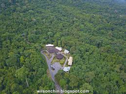 Gunung gading national park yakınlarında yapılacak şeyler. I Am The Borneo Explorer å©†ç½—æ´²æŽ¢é™©è€… The Extreme Hike From Gunung Gading To Rock Well Batu Berkubu