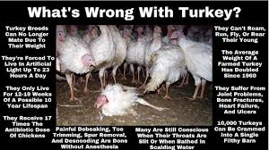 A turkey of up to 12 pounds should cook in about 3 hours. Turkeys Articles Poems Stories Videos