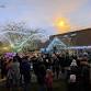 Carols in the Park event image