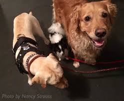 Nancy Strouss's Instagram, Twitter & Facebook