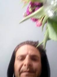 Petition · Install Arena Lighting at Pedlow Field Skatepark