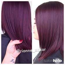 Instagram Web Viewer Online Hair Color Plum Hair Styles Plum Hair