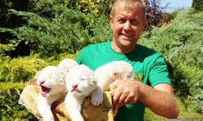 Тайган парк львов открытие сезона сафари со львами олег зубков розыгрыш. Oleg Zubkov Zakryvaet Tajgan I Pereezzhaet V Portugaliyu Respublika Krym Federalpress