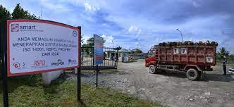 Pt sinarmas auto part produksi apa. Plantation To Mill In 24 Hours Pt Sinar Mas Agro Resources And Technology Tbk Pt Smart Tbk