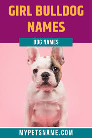 With thousands of baby names for girls and boys, complete with baby name meanings and origins, disney family is bound to have get the lowdown on thousands of baby names right here — including meanings, origins, namesakes, celebrity babies, and disney characters who share the same name. Girl Bulldog Names Bulldog Names Girl Pet Names Dog Names