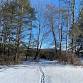 Forest Bathing, Winter event image