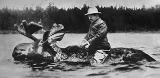 Country living editors select each product featured. Can You Identify These Hoax Pictures Trivia Quiz Proprofs Quiz