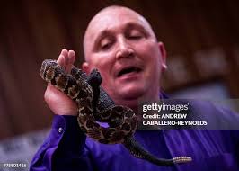 477 Animal Bite Mark Stock Photos, High-Res Pictures, and Images