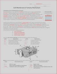 19 Beautiful Photos Of Cell Membrane Coloring Worksheet In 2020 Cell Membrane Coloring Worksheet Color Worksheets Cell Membrane