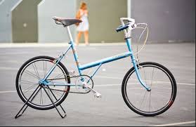 Raleigh Twenty Bike Frame