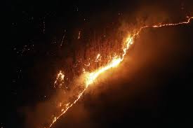 Severe trial or ordeal he had proved himself. A Forest Lockdown Will Fuel More Fires