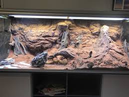 Terrarium Inspiration Reptile Terrarium Vivarium Reptile Enclosure