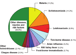 pie chart showing the nine most important diseases fea