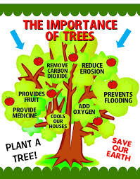 16 Make A Importance Of Trees Poster Arbor Day Poster Ideas