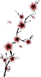 Idéal pour les cartes de voeux ou de la conception de texture. Japanese Plum Blossom Tattoo Google Search Fleur De Cerisier Dessin Tatouage Cerisier Tatouage Japonais