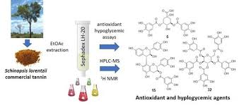 Image result for Schinopsis